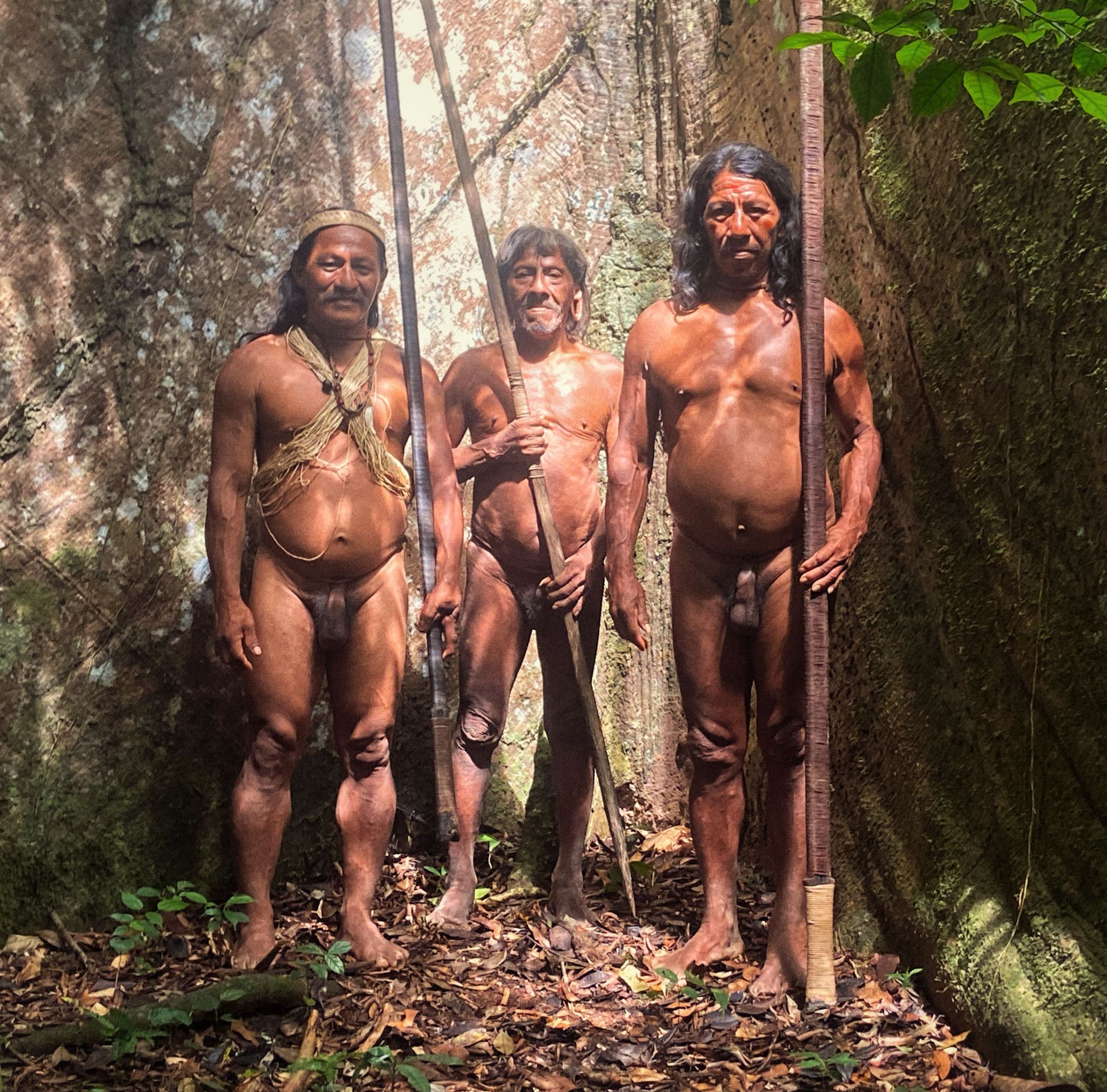 ./gallery_11_1772466007211