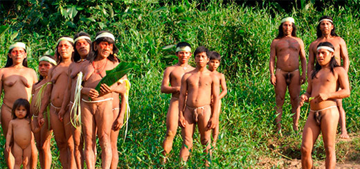 ./gallery_1_1772466007211