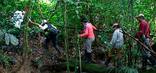 ./gallery_2_1772466007211