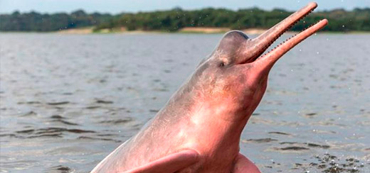 ./gallery_5_1772466007211