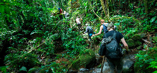 ./gallery_6_1772466007211