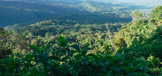 ./gallery_9_1772466007211